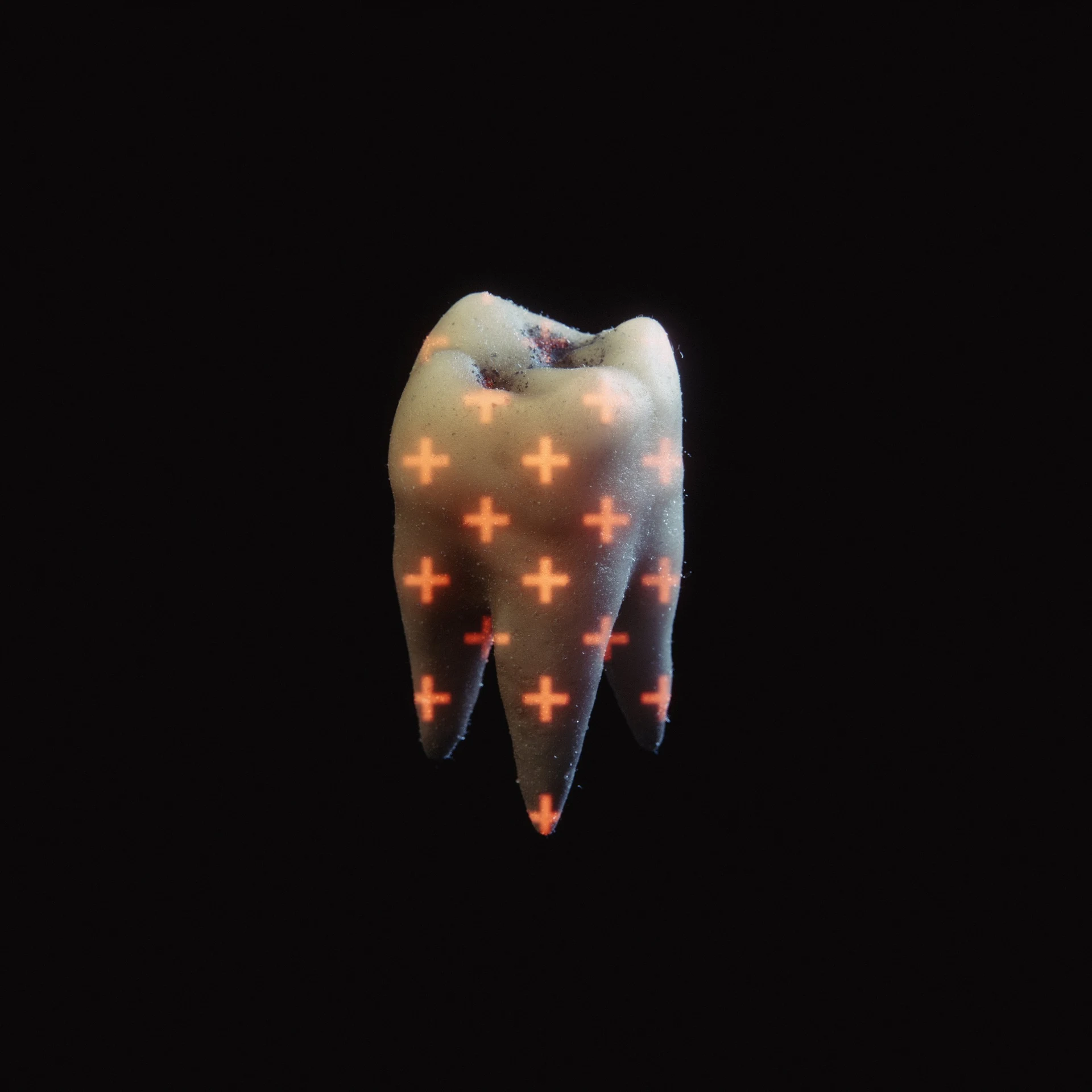 DELPHER 876 — teeth_post-WEB_001